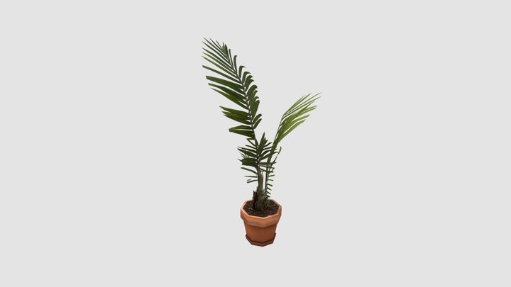 House Plant 3D Model