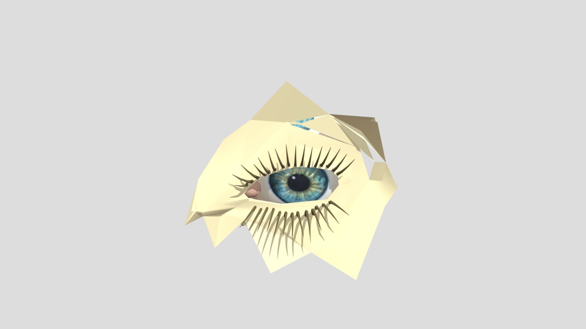 Ojo geométrico