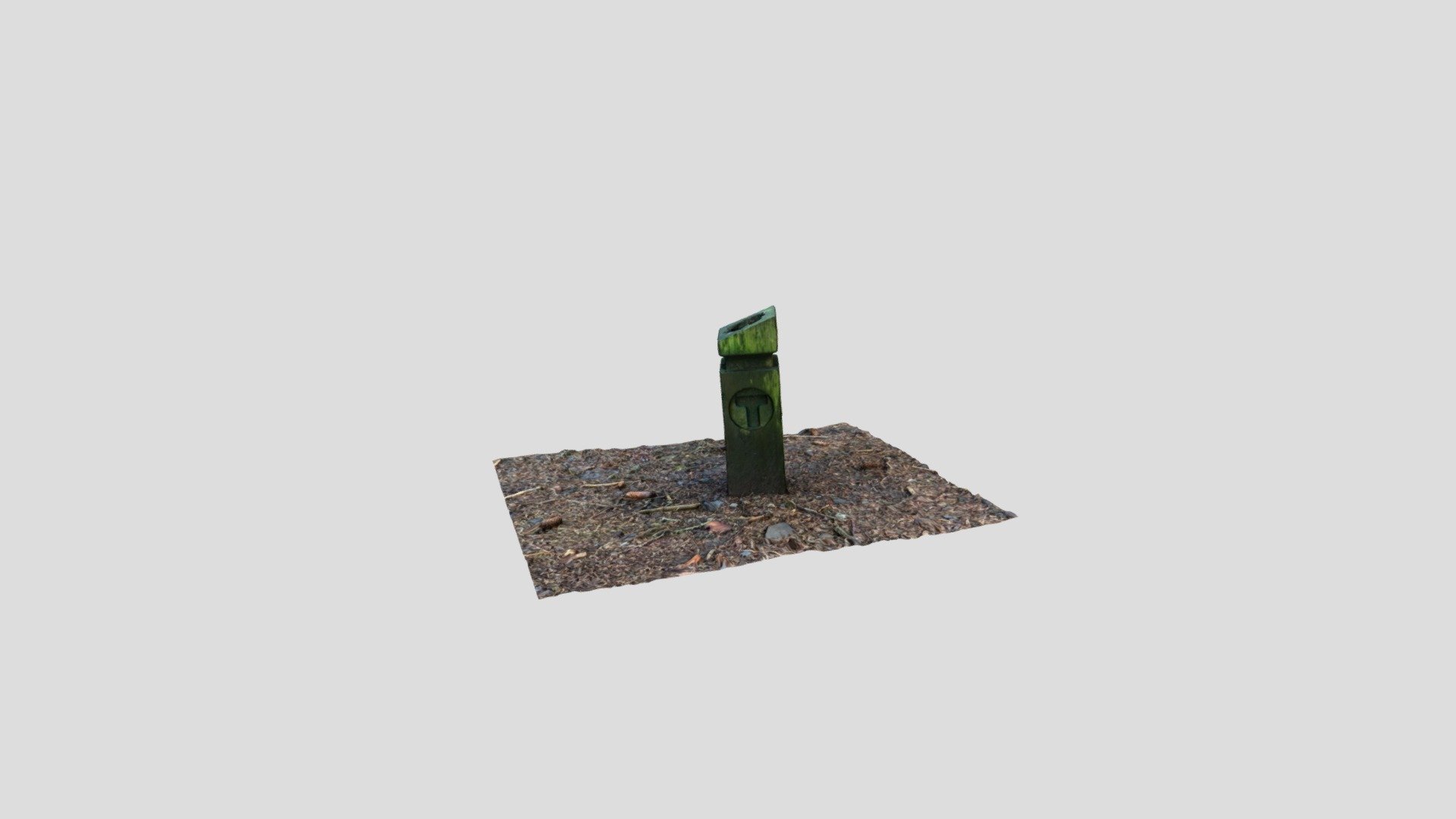 Mossy Trail Marker