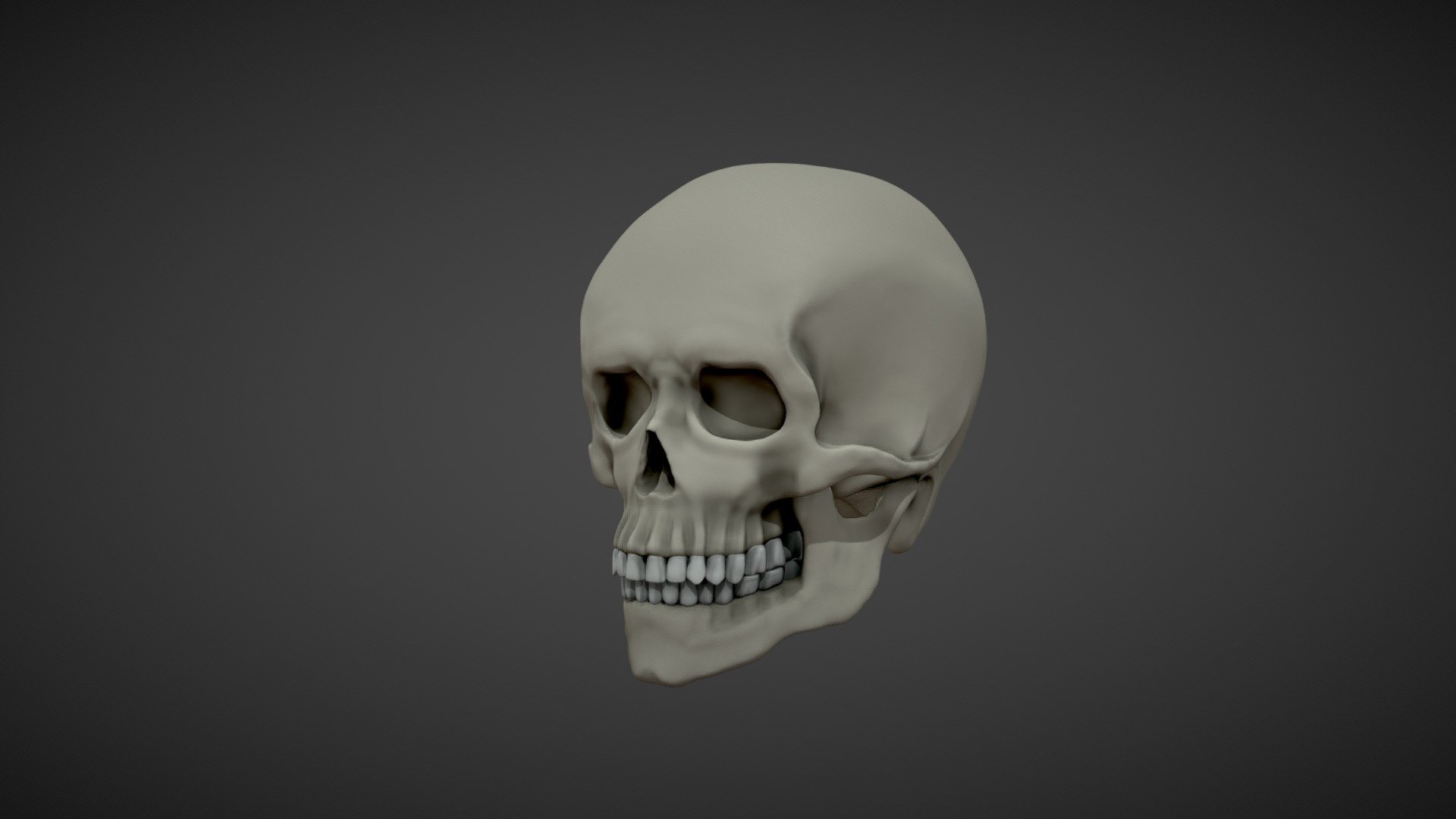 Human skull — Sketchfab embed 3D viewer