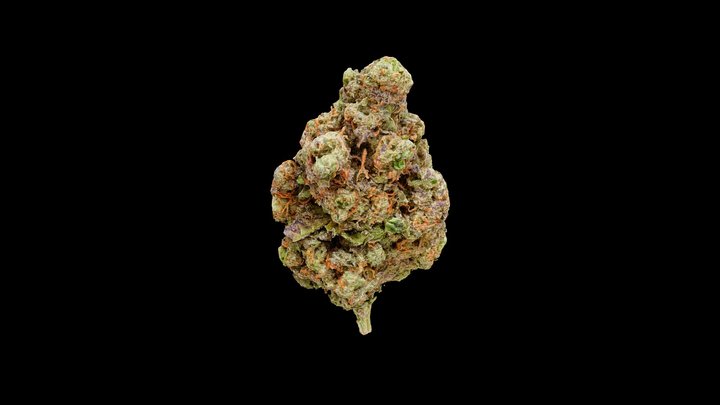 White Papaya — Cannabis Model 3D Model