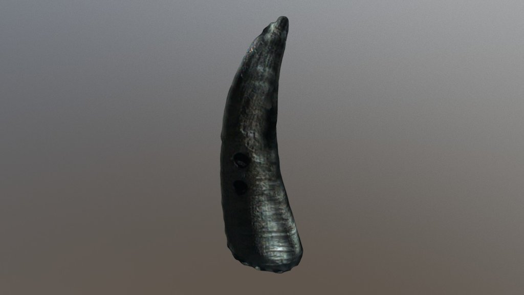 horn2