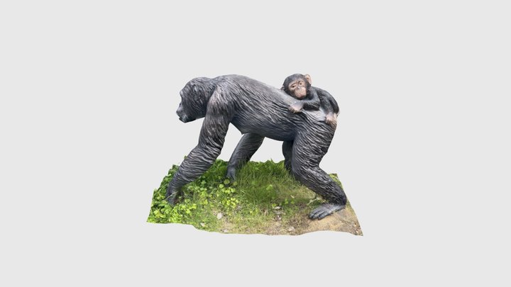 チンパンジー2 3D Model