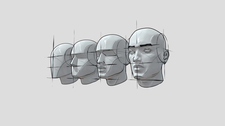 planes_of_the_head_-_andrew_loomis_method 3D Model