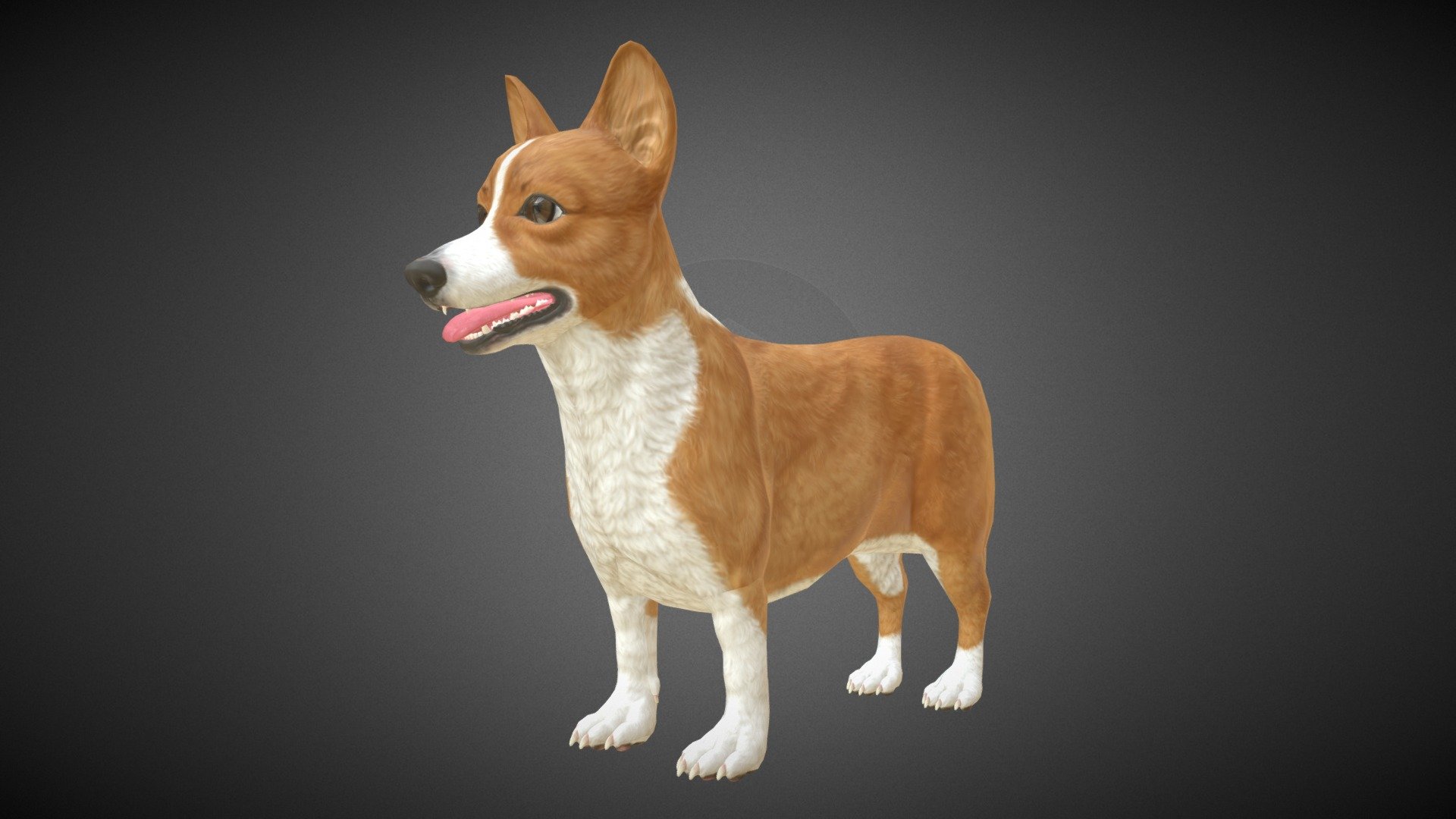 Corgi Model(No fur)