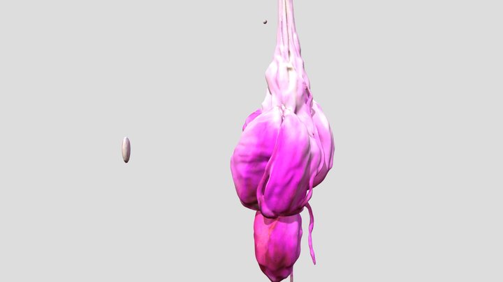 Magical object 3D Model
