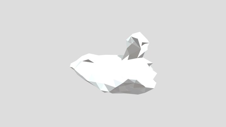 super simple bird scan 3D Model