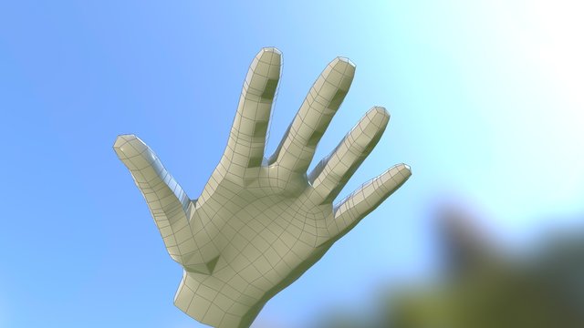 Low Poly Hand 3D Model