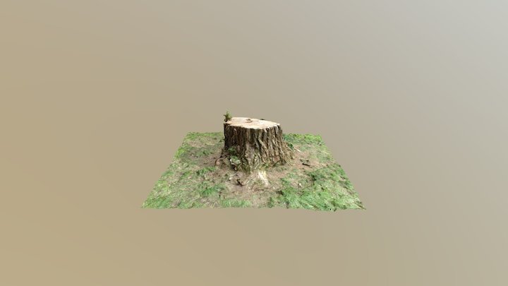 Baum Sf 3D Model