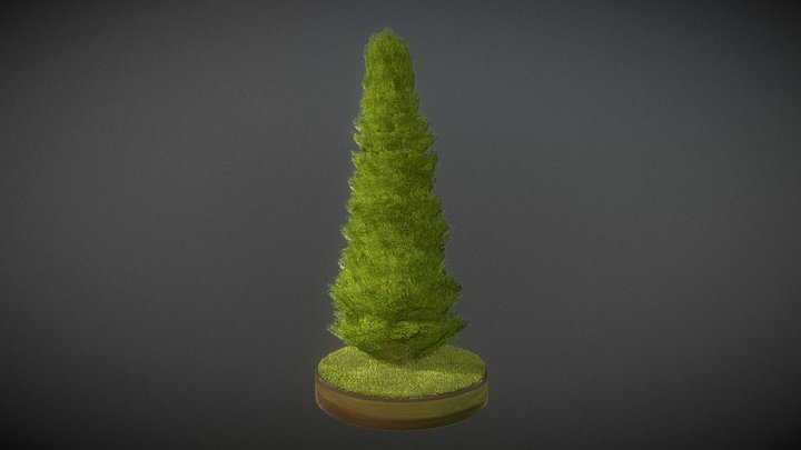 Cypress - Version 9 - 4 Meter 3D Model