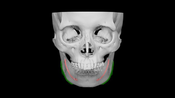 黃O芳 3D Model