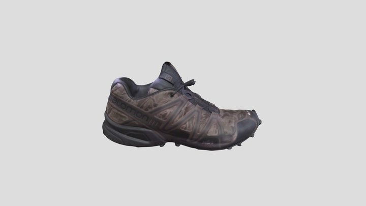 Salomon textura 3D Model
