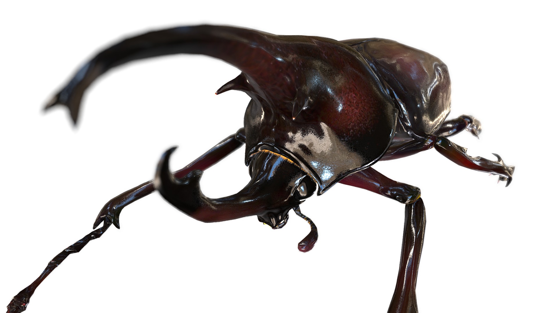 3D model Augosoma centaurus - This is a 3D model of the Augosoma centaurus. The 3D model is about a close-up of a beetle.