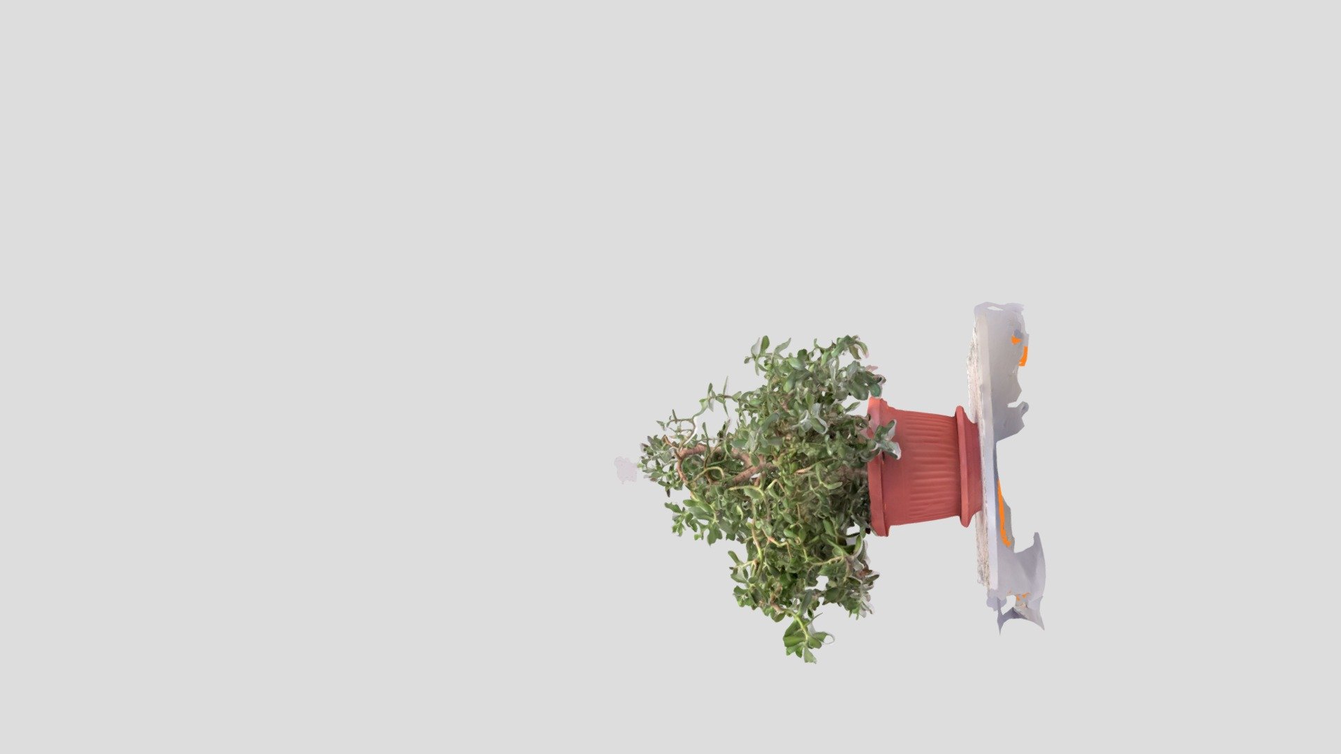 T325_FatPlant1124_Crop — Sketchfab embed 3D viewer