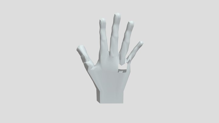 hands 2 3D Model