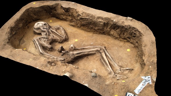 Skeleton burial (Mušov-Burgstall) 3D Model