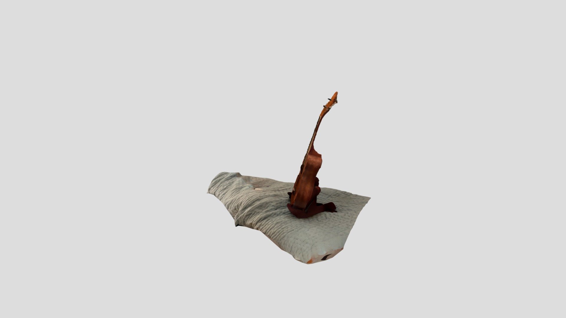 Polycam capture