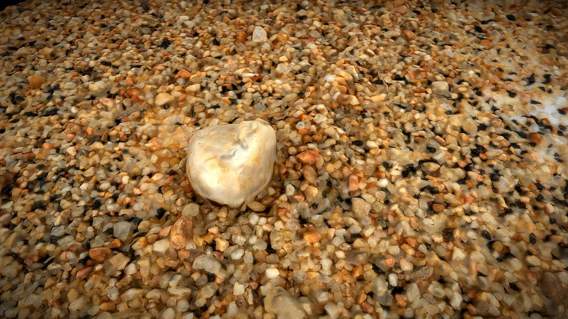 Stream sand with amphiboles (close-up)