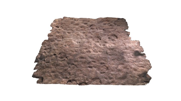 Ipolytarnóc lábnyomos kőzetfelület 3D Model