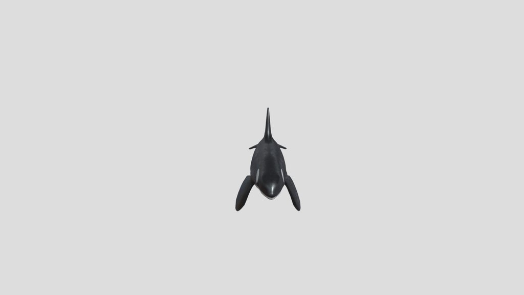 Orca Animated