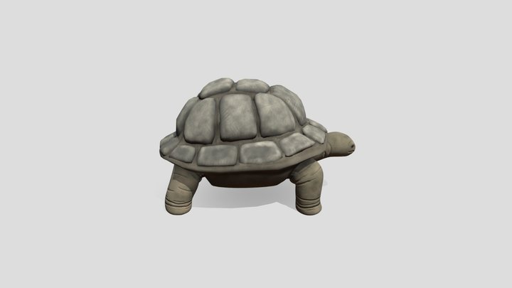Tortoise PM 3D Model