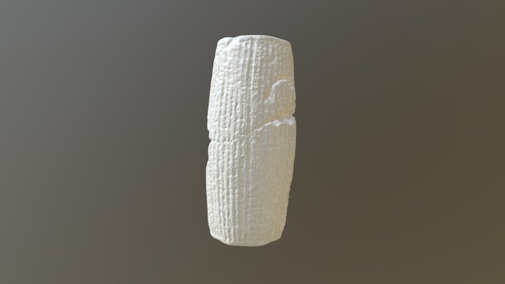 Cyrus Cylinder Cast Copy 3D Model
