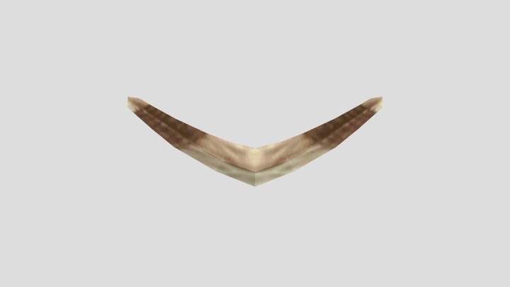 Boomerang1 3D Model