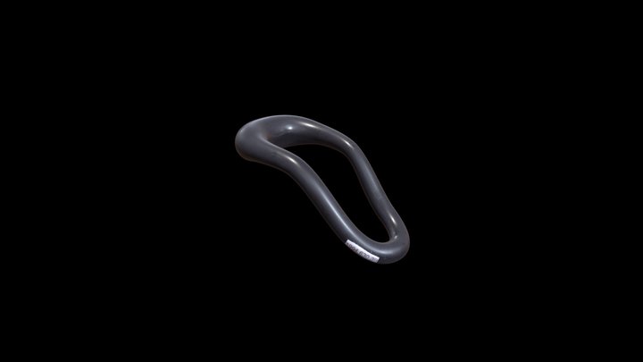 Oblong Pessary 3D Model