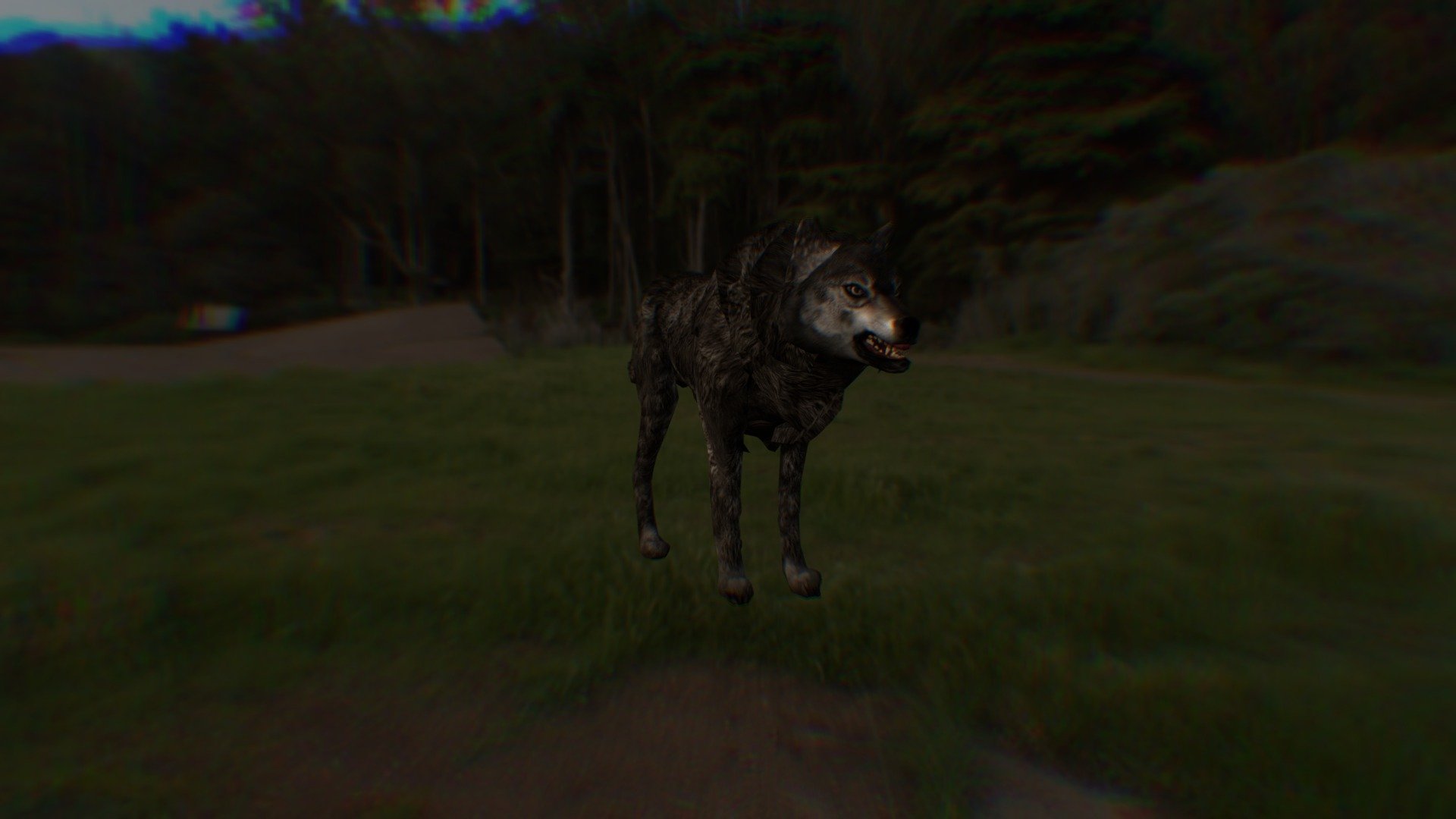 dark Wolf