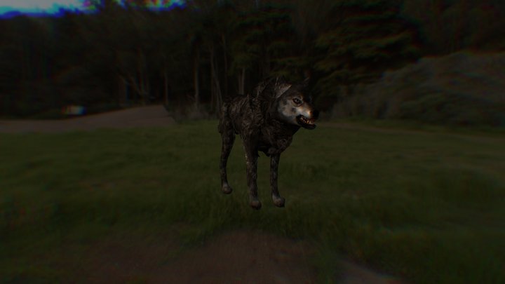 dark Wolf 3D Model