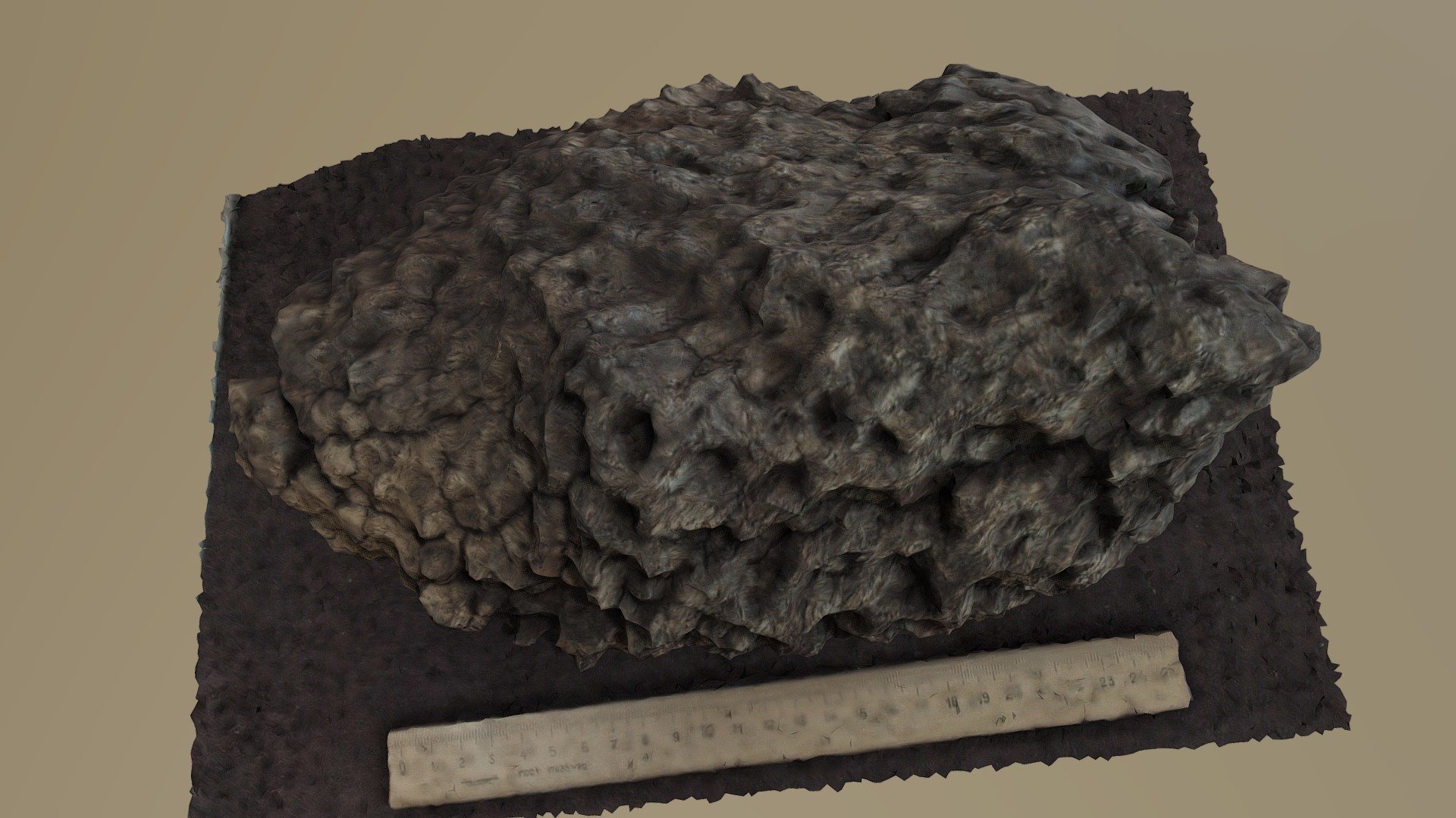 Plant Remain (Osmundales, Permian)