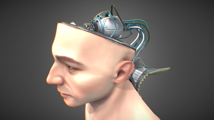 Cyborg Head 3D Model