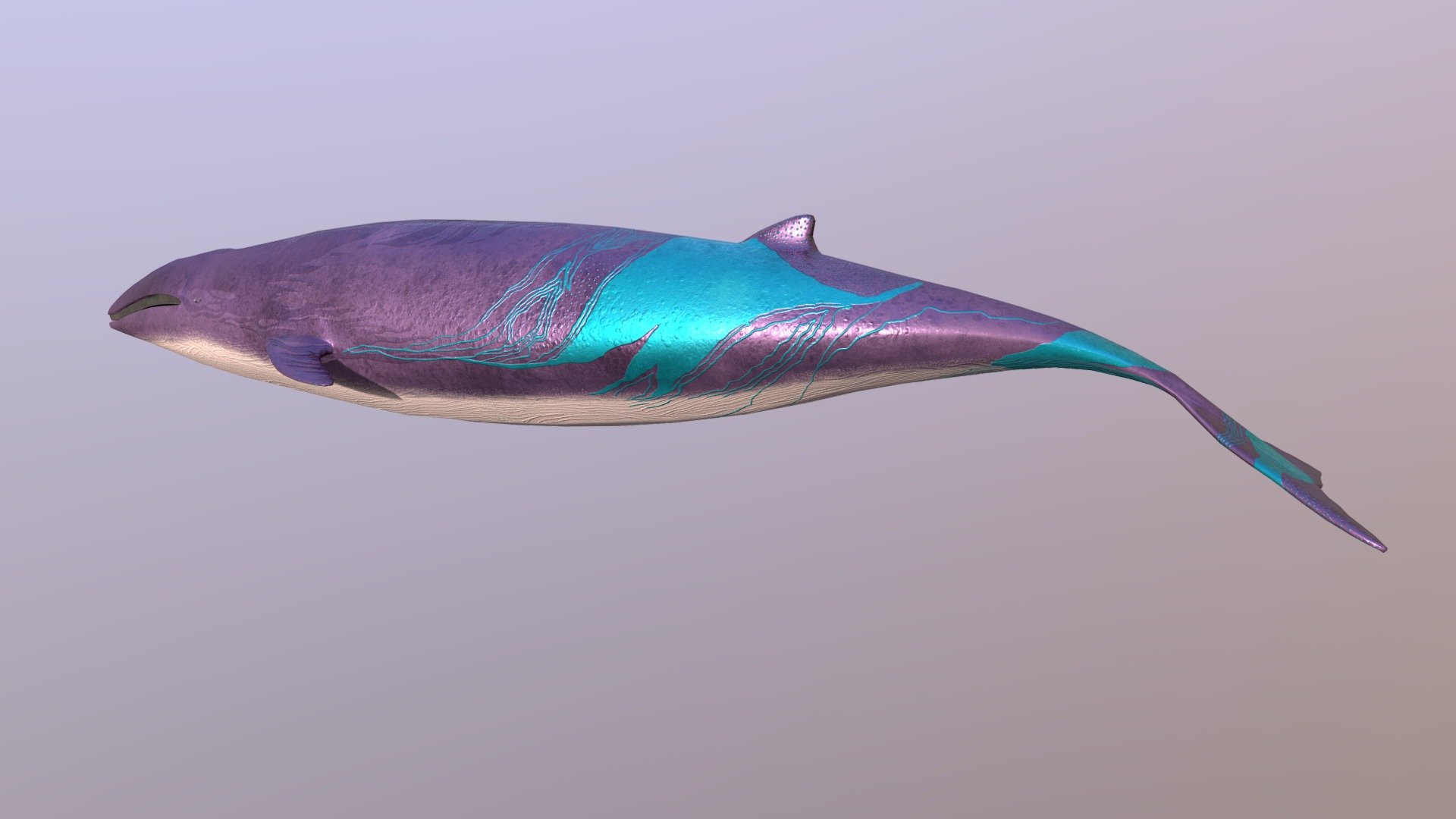 Whale
