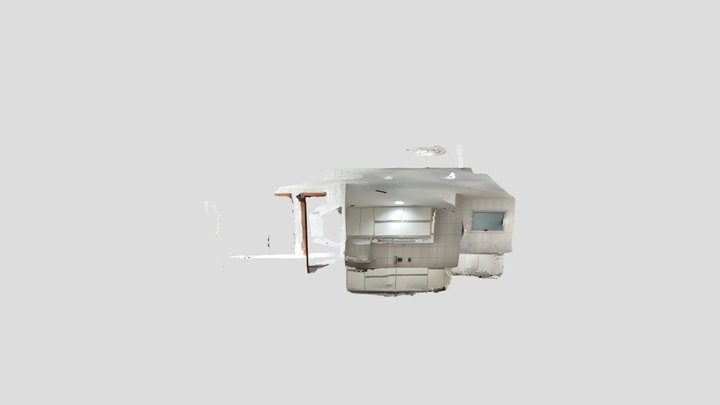 Untitled Scan 3D Model