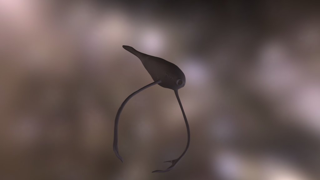Giant Horn Squid Sketch
