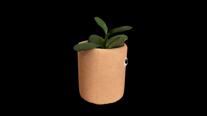 Succulent with Eyes 👀 3D Model