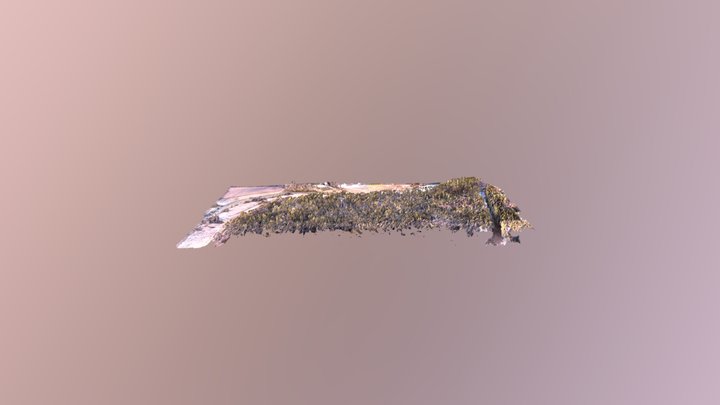 Šilelis Forest, Kuršėnai 3D Model