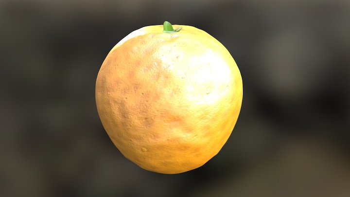 Old Orange 3D Model