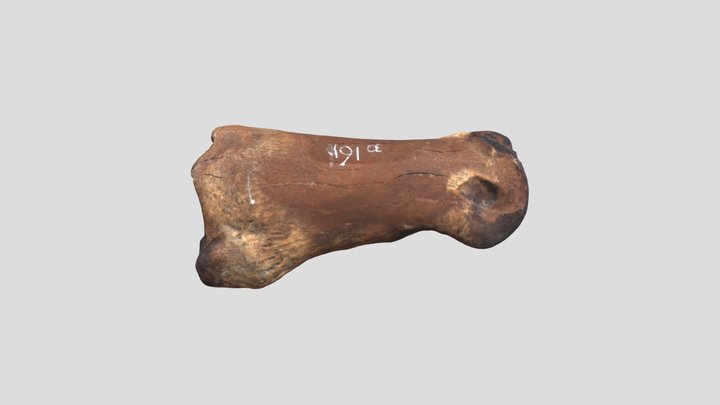 JS191A 3D Model