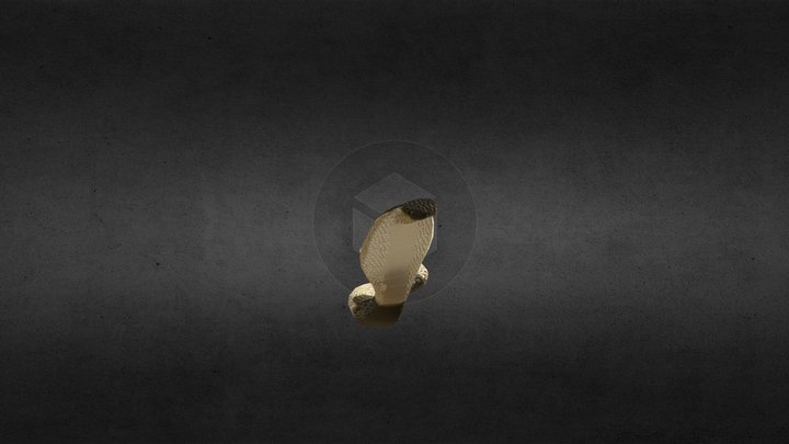 Cobra with slither animation 3D Model