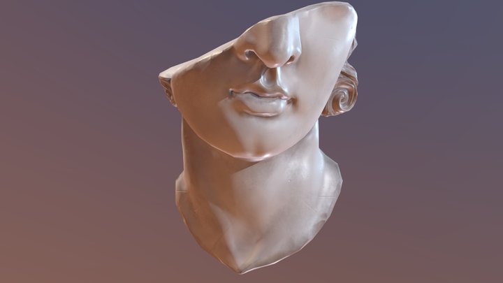 Fragmentary colossal head of a youth 3D Model
