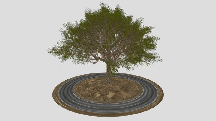 Square Road (Tree Animation) 3D Model