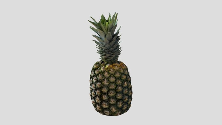 Pineapple 3D Model