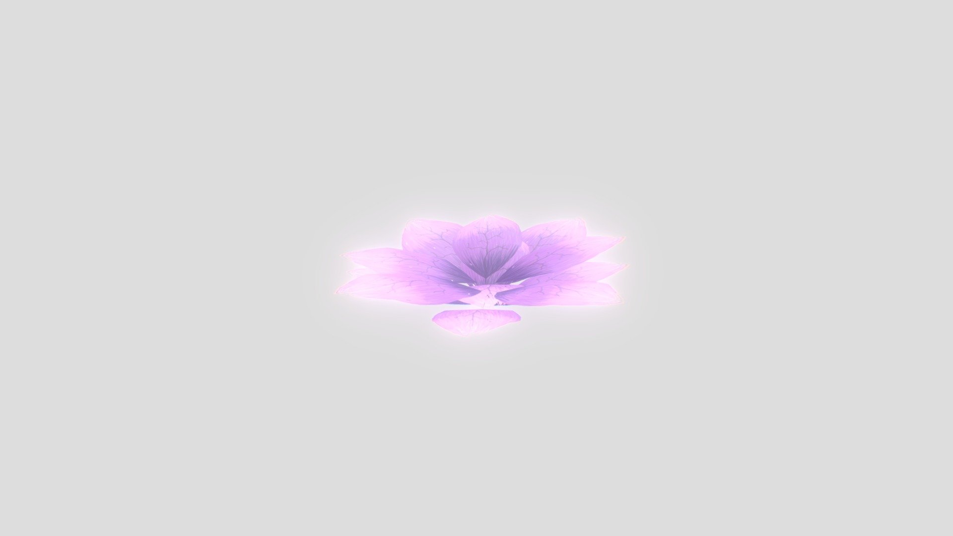 Sort Of Flower