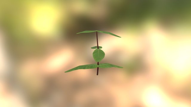 Honeysuckle Plant 3D Model