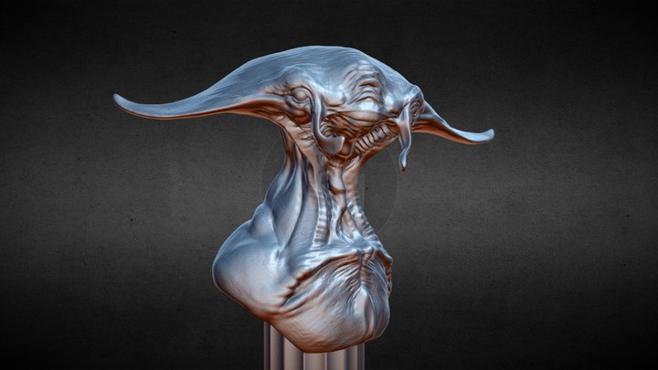 Manta Face 3D Model