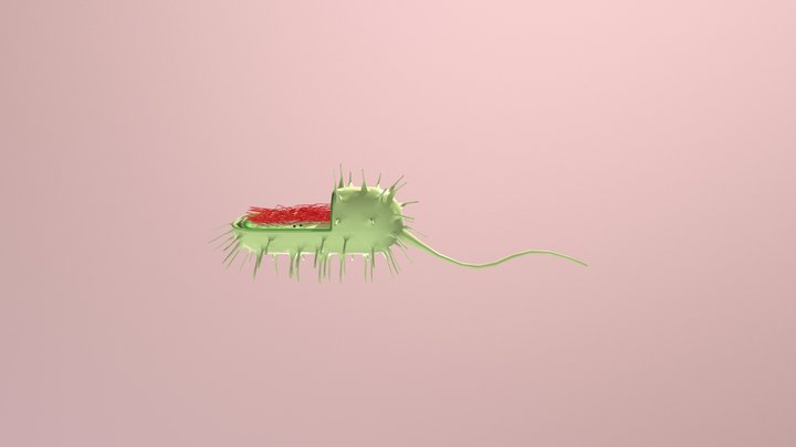 Procariote Cell 3D Model