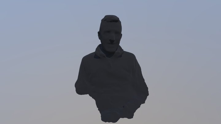 Virtual Barry 2 3D Model
