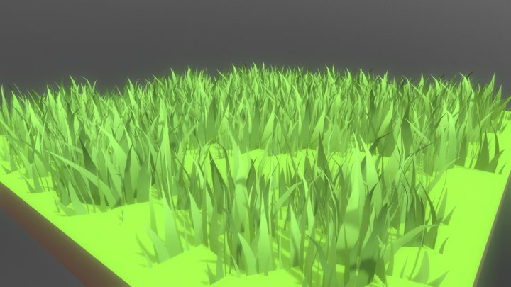 Field of Wild Grass 3D Model