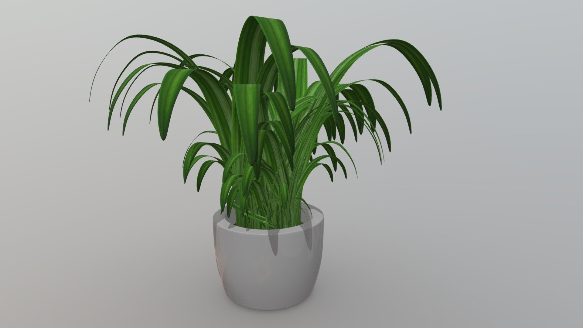 Plant With Pot